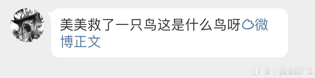 #鸟粉投稿# 把握良鸡环节被渔网逮住的【黑水鸡】小天才发现后成功解救了它[心] 