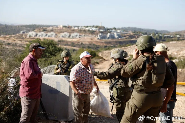 以色列军队在被占领的西岸推倒100棵橄榄树 据瓦法社报道，以色列士兵在南部拉马拉