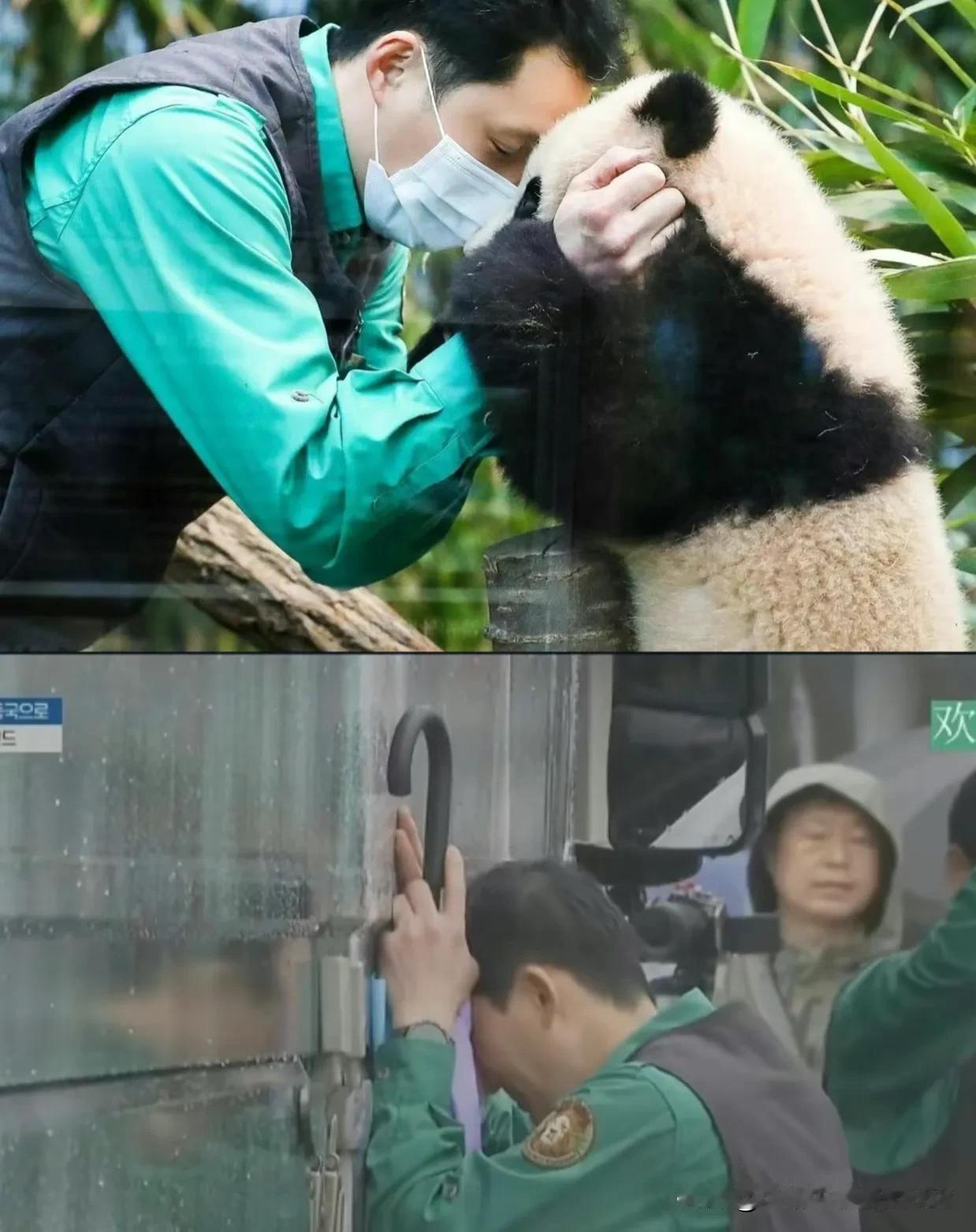 宋爷爷轻轻拍打车厢
这是给他最疼爱的大胖孙女最后的温柔，
这次宋爷爷真的退下[玫