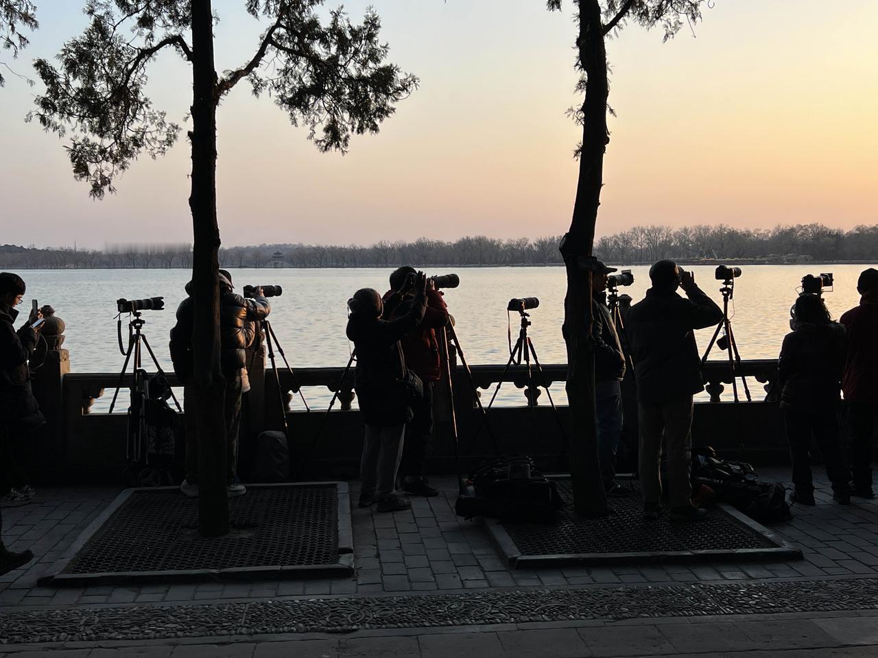 有一群摄影人专盯着一个场景拍摄，而且是一年四季坚持这样。不知道他们的职业是什么，