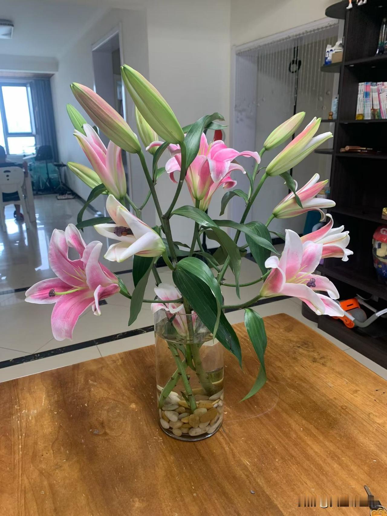香水百合，
一夜花开，
香气四溢，
芬芳馥郁，
应景应时，
自然的芳香，
果然胜