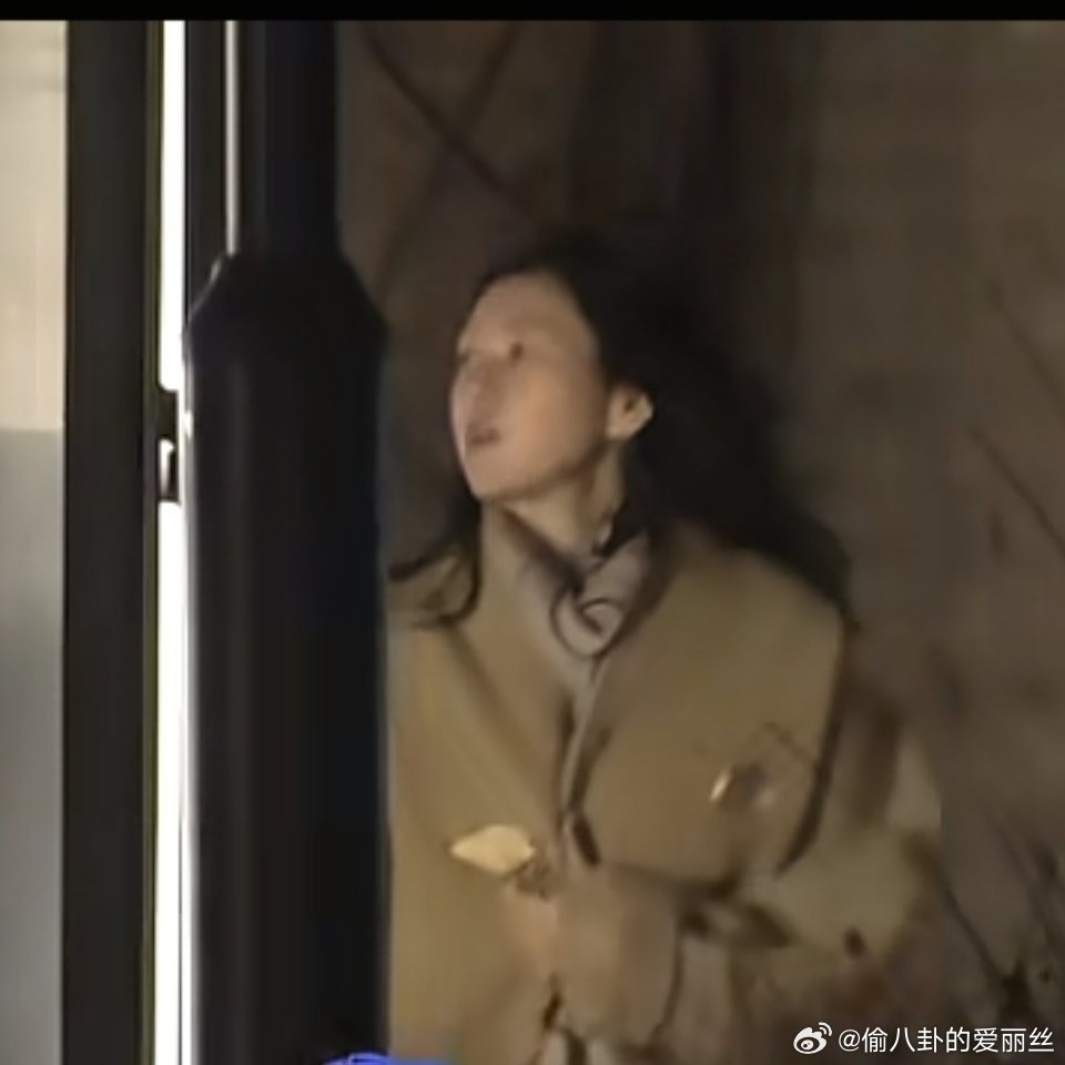 明星也是人，章子怡素颜遛狗被嘲像大妈，真的没必要。卸下红毯光环，素面朝天才是真实