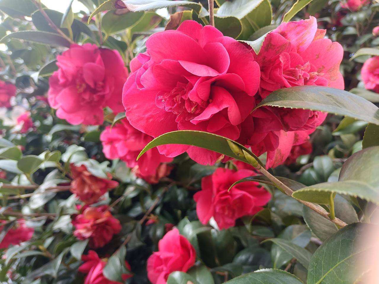 台湾统一最有可能以什么样的方式