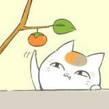 郑六爱看美女