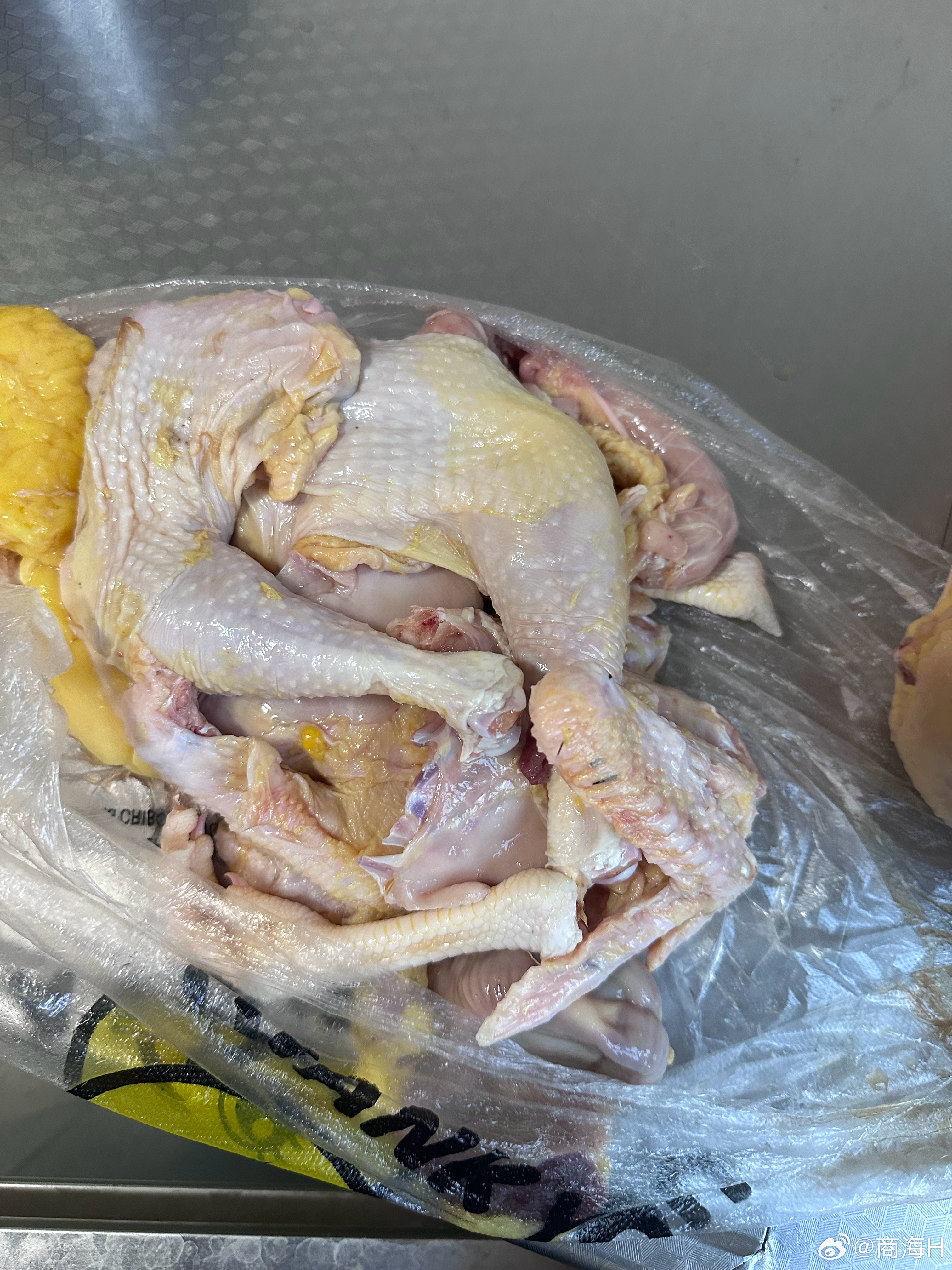 🐔又遭殃了吃了2只，带回来一只小公鸡，一只母鸡回城市了，2只披萨搞定晚餐 