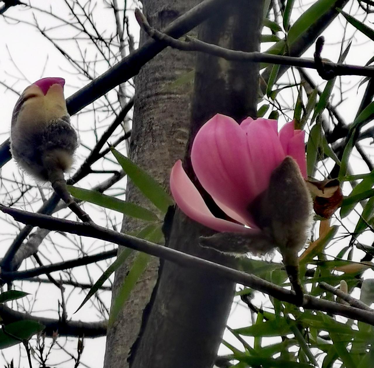 惊蛰节气，万物复苏。