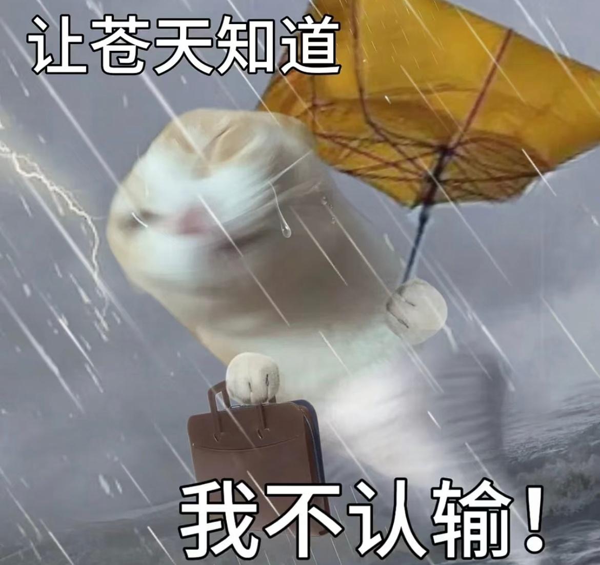 上班又开学，小雨夹小雪，这次周一开学季可谓是氛围感满满了