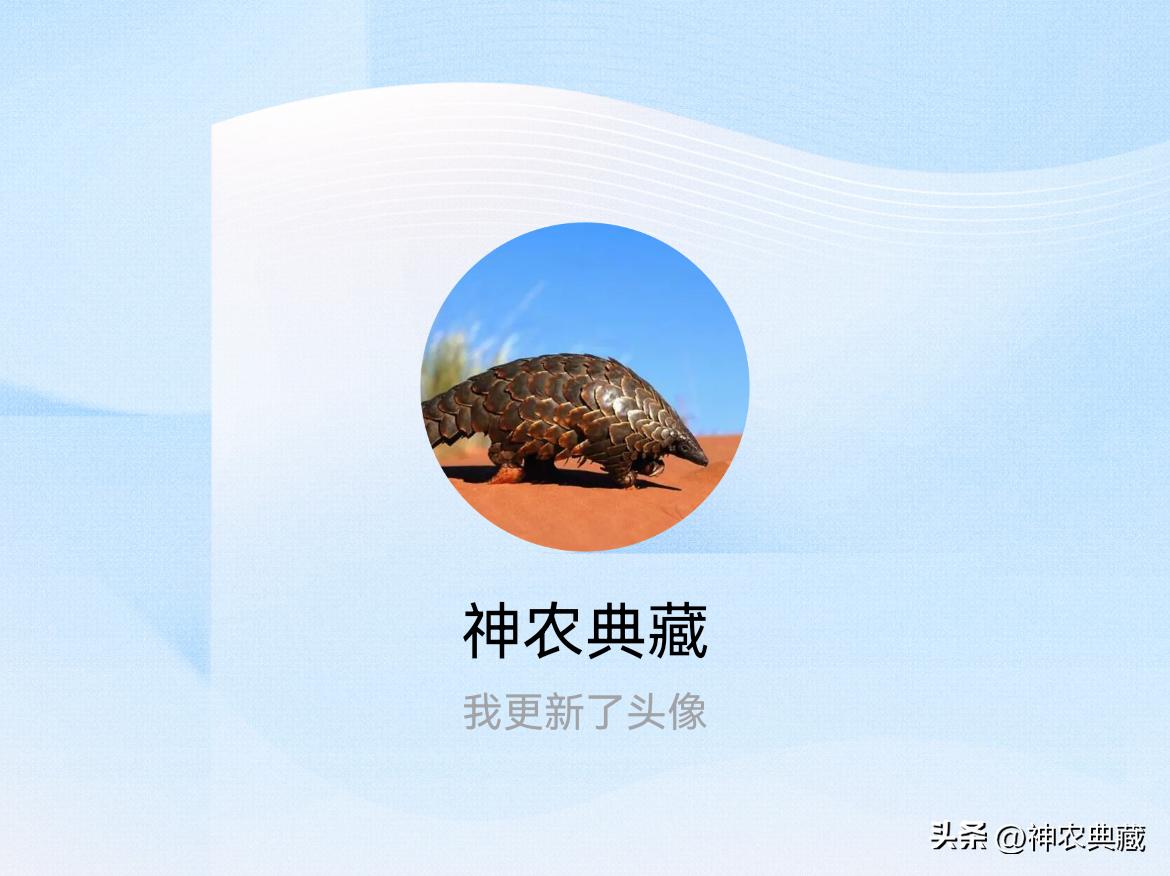 快来看看我新换的头像吧