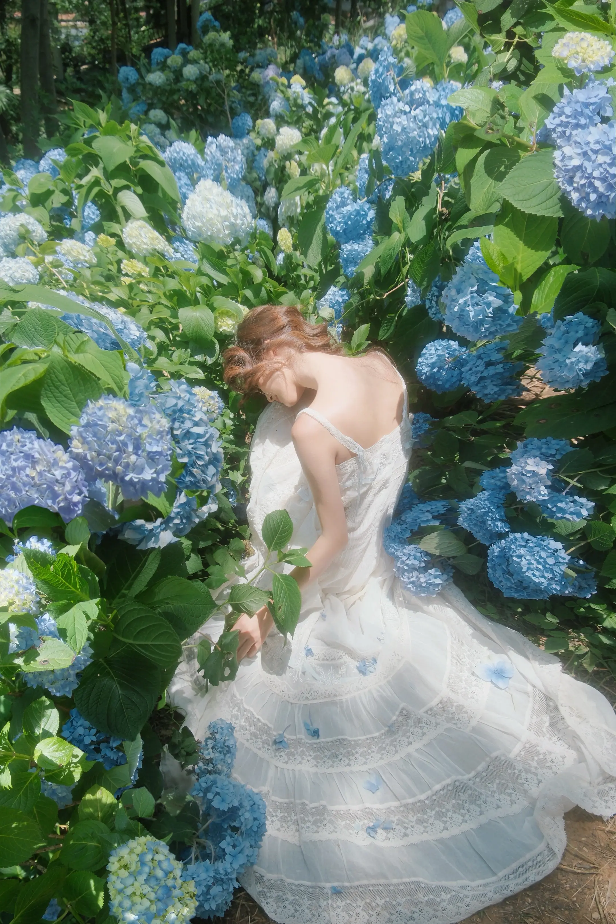 𝓑𝓵𝓾𝓮 𝓗𝔂𝓭𝓻𝓪𝓷𝓰𝓮𝓪🦋