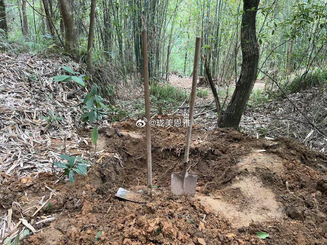 今天再挖不到就确实没辙了十年前挖下的坑，终究是坑了自己