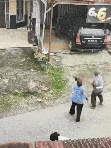 野猪要是横起来，几个成年男人都不是它的对手。所以说，“一猪二熊三老虎”是事实存在