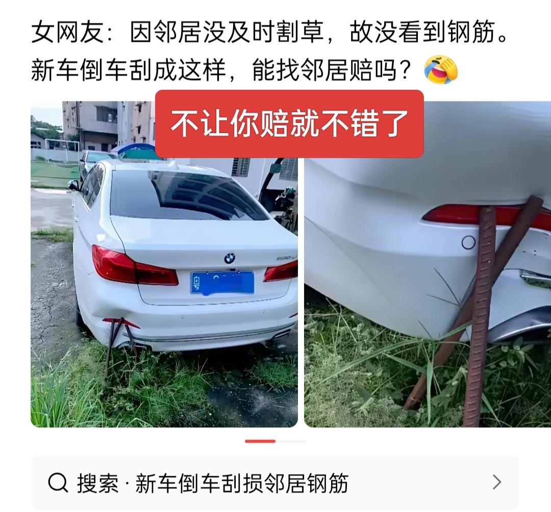 自己驾车眼神不好，撞了钢筋压了草，不让你赔偿就不错了，还想让邻居赔你的车，咋想的