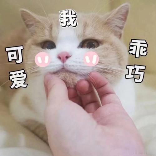 许愿见偶像真的实现了不敢轻易和别人说的心愿默默藏了好久，如今真的见到偶像，才知道