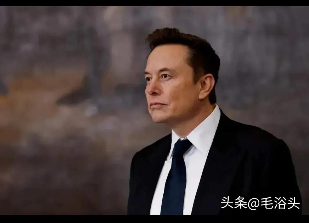马斯克考虑成立全新政党，超八成人投下票赞成
 
近日，美国商业界与政坛因一条消息