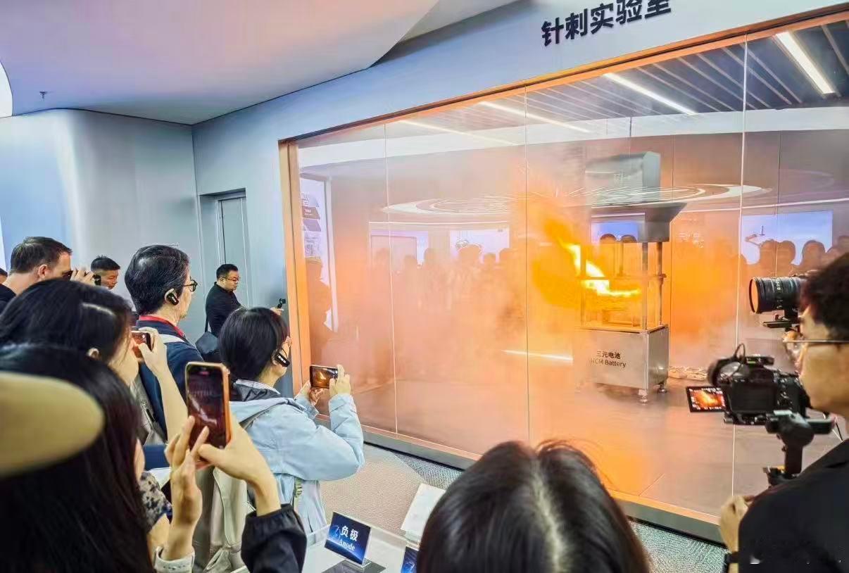 近日，参与“兰之约•话文明：全球对话行”西安站活动的中外专家，先后走进西安比亚迪