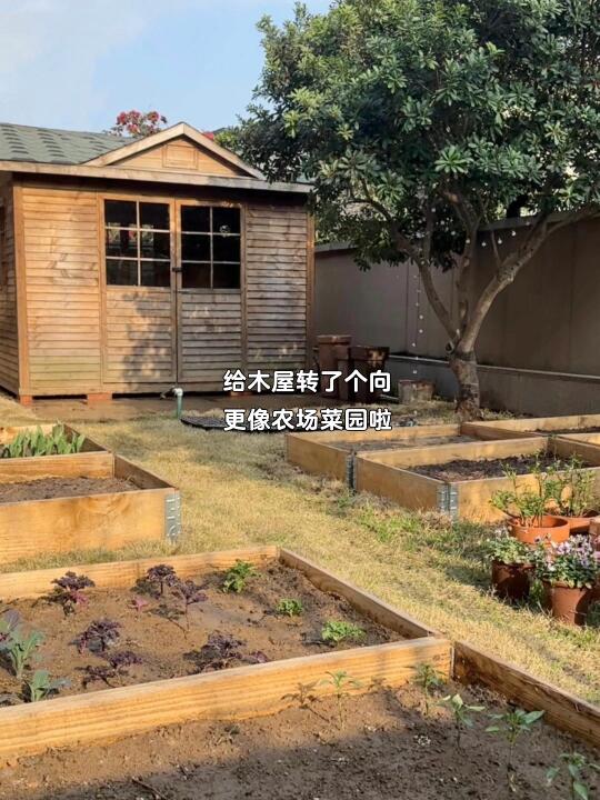 女生独自一人搬进郊区别墅一年后的生活be like …