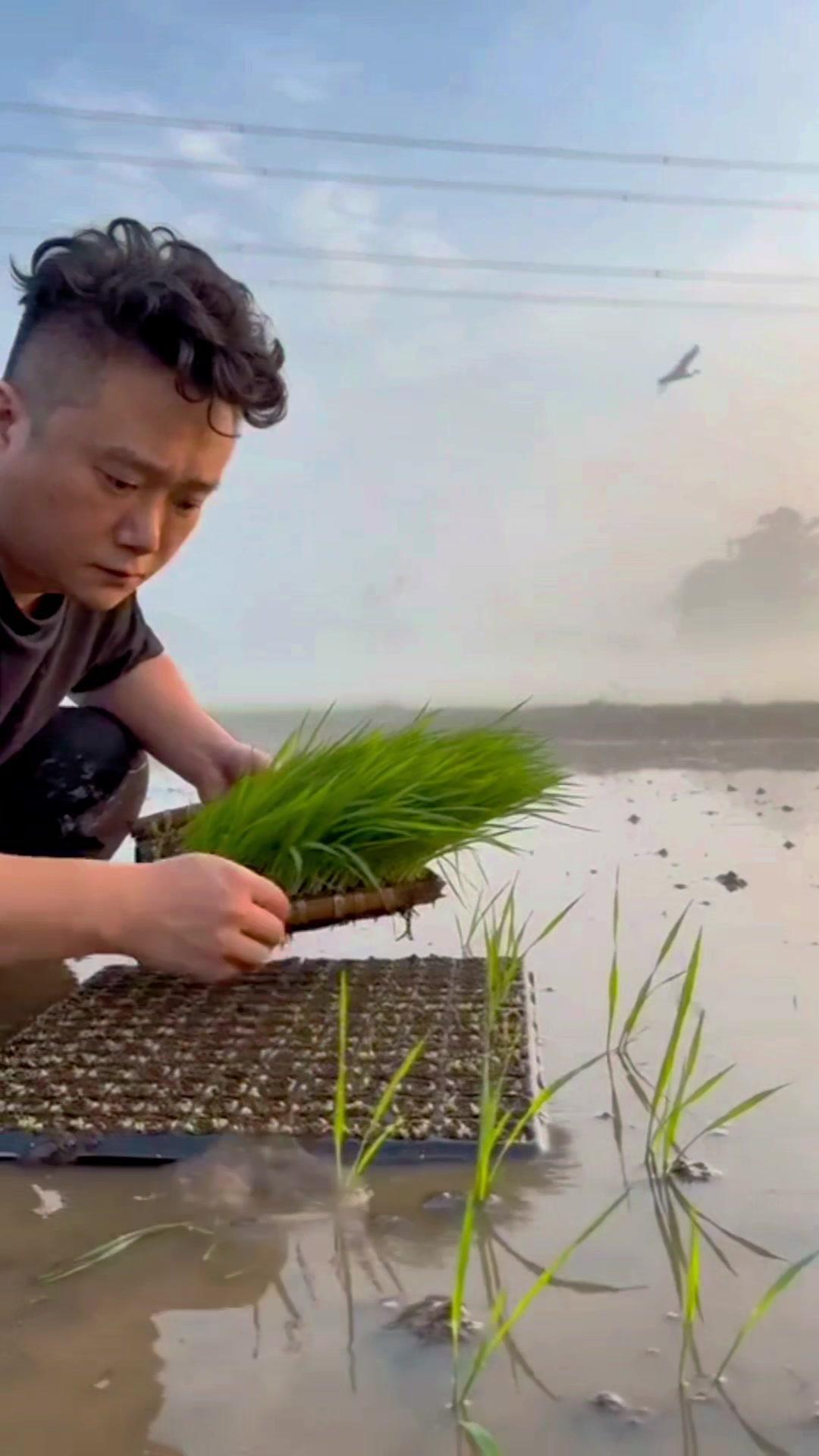 日子很长，不必慌张，允许自己偶尔断电，允许眼泪没有原因，你已经做得很好了。那些没