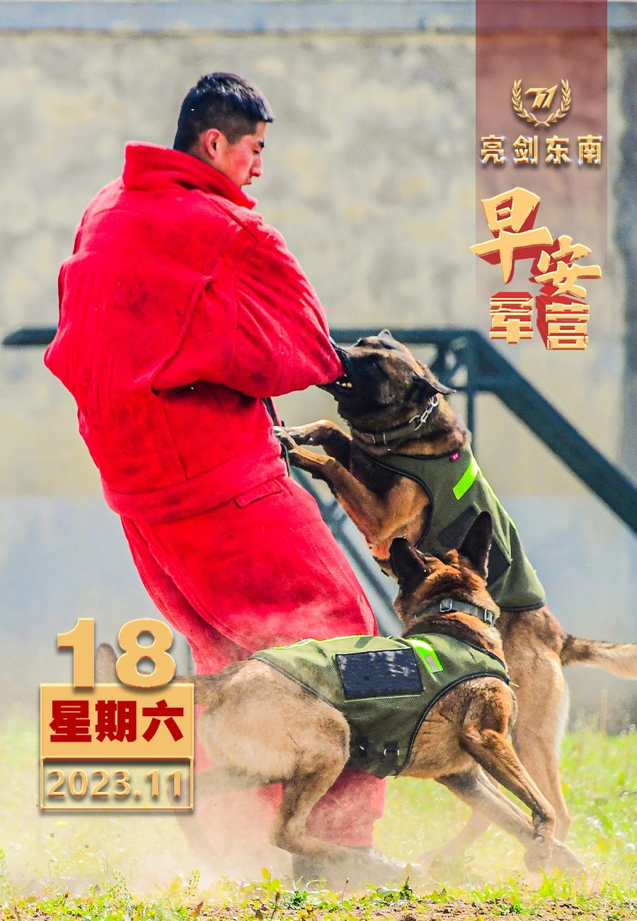#擂动强军催征鼓# 强国必先强军，胜战必先谋战。#早安军营#【图片：武志恒，制图