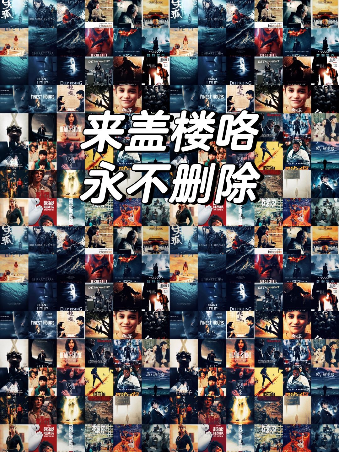 经典电影宝藏🌈1天1部，此生还能看几部？