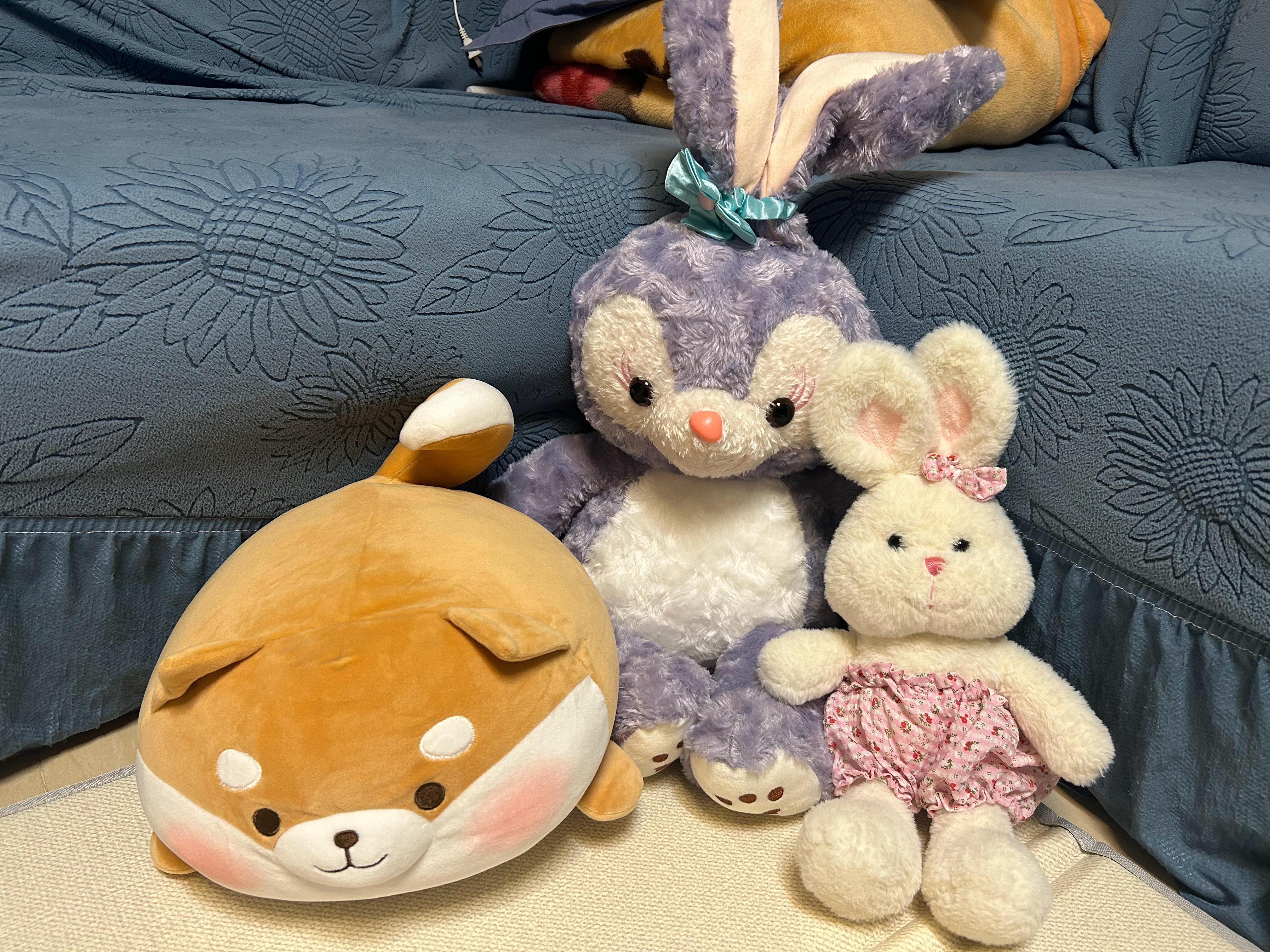 小侄女的小伙伴们