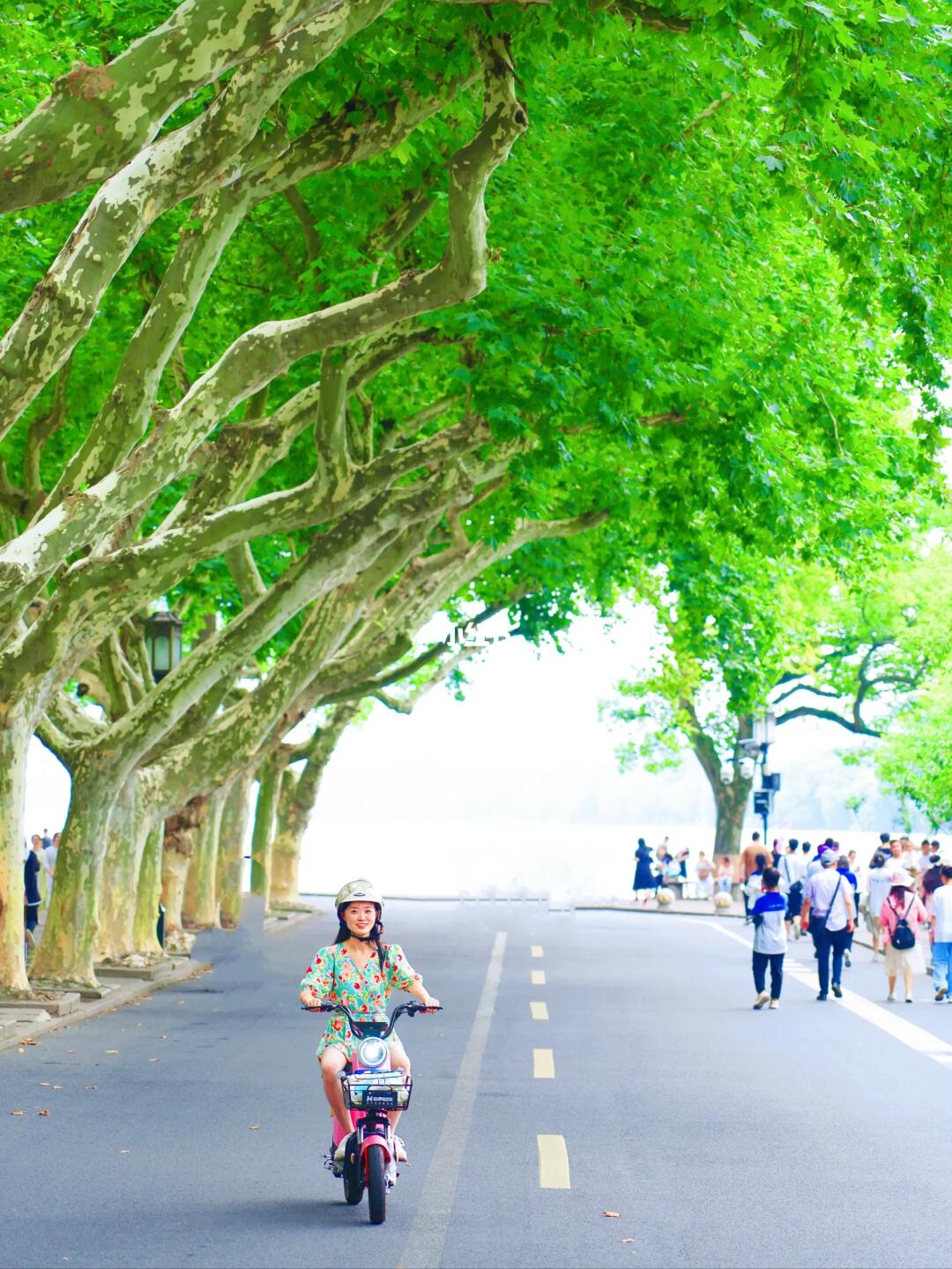 被问爆的‼️省钱省力游西湖一圈攻略有多绝