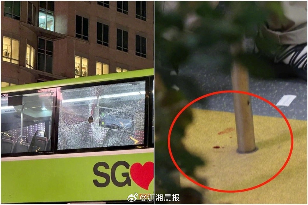 【新加坡#女子坐公交遭酒瓶砸窗毁容#，目击者称酒瓶突然飞向双层巴士】7月5日傍晚