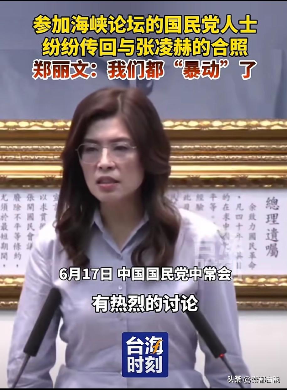 第十八届海峡论坛在厦门顺利举办，两岸各界齐聚一堂，民间交流氛围格外热烈。艺人张凌