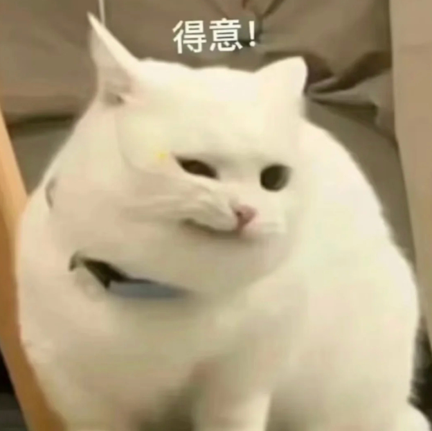 猫 我征服人类只需要呼吸 甚至不需要呼吸，光照片就可以，猫咪简直是极具天赋的把妹