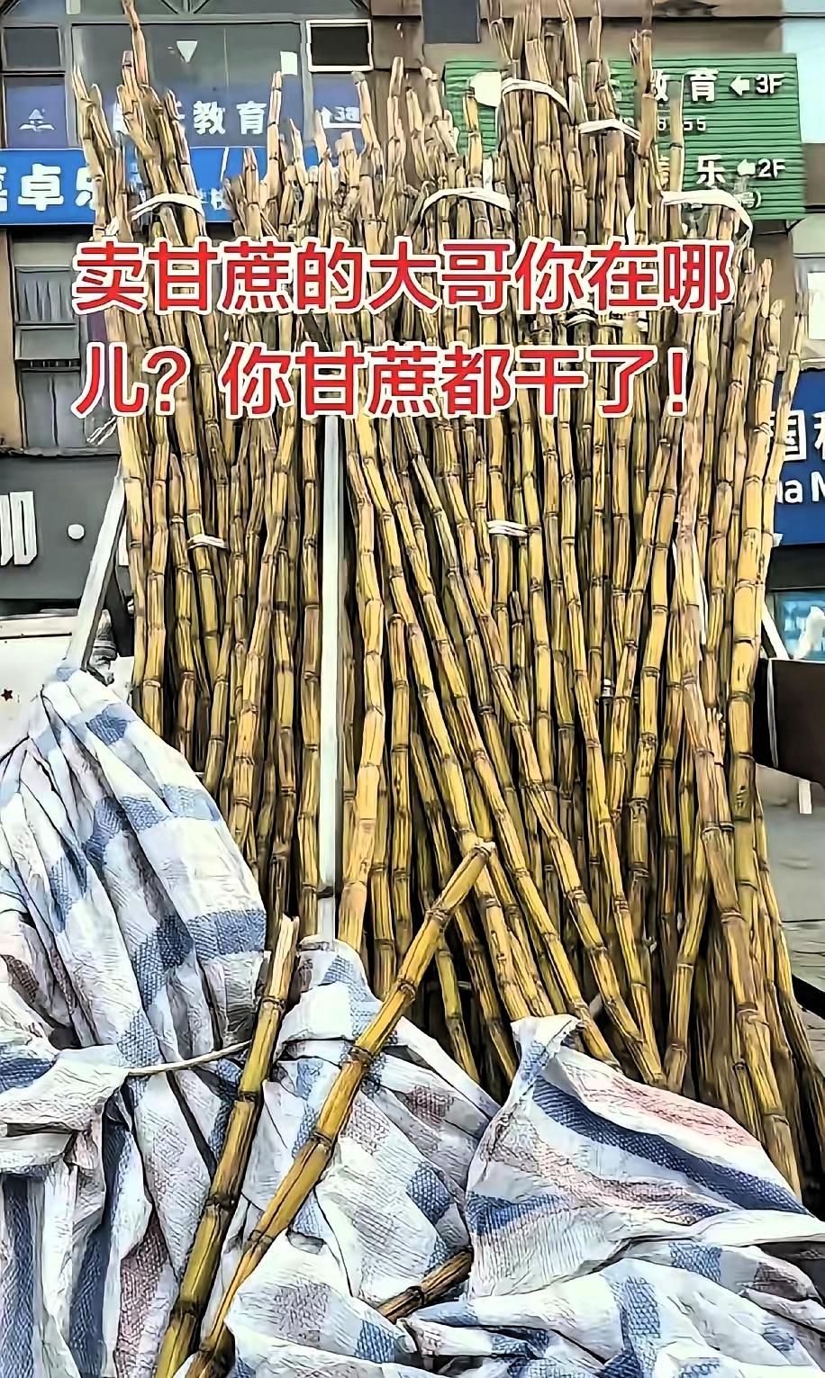 太暖心了，四川，一男子发现，楼下常年摆摊卖甘蔗的大哥从过年之后就没出摊了，三轮车