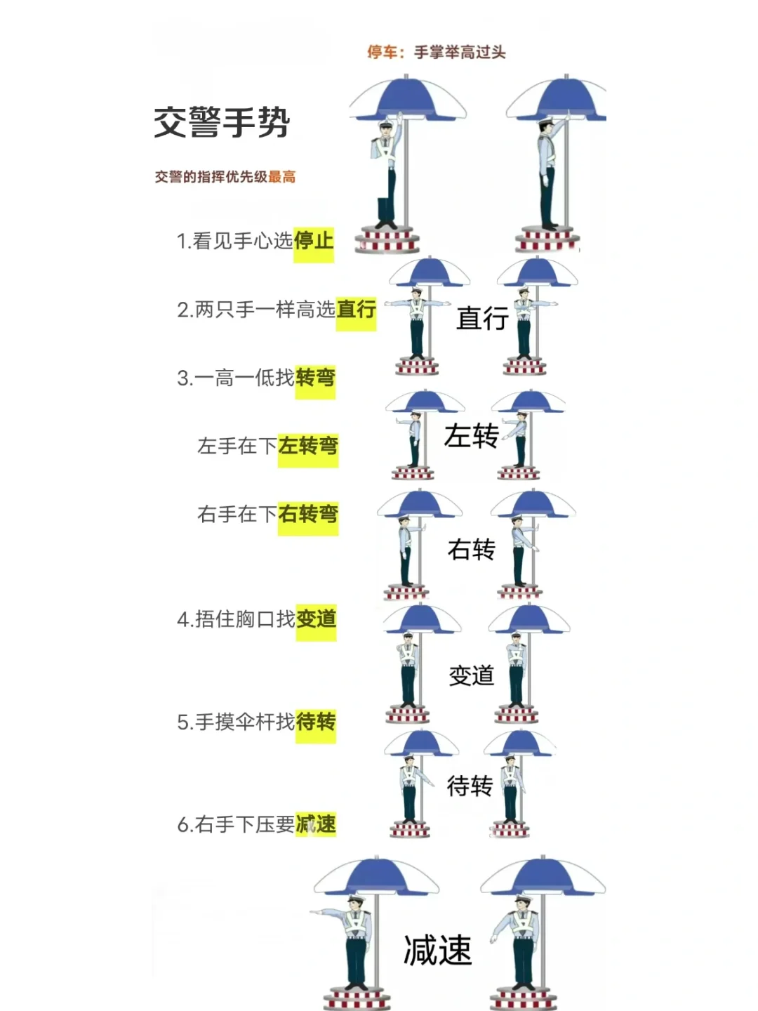 科目一交警手势‼️