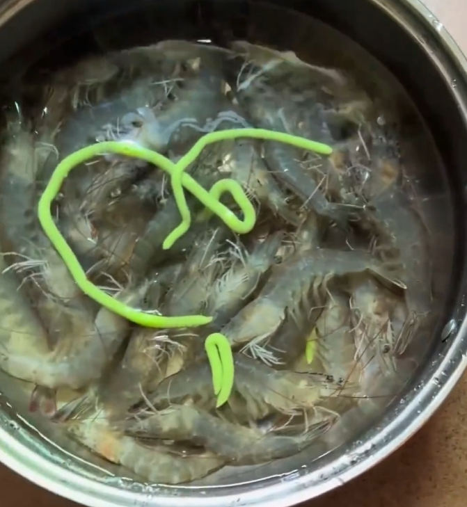 用芥末泡虾虾线都快吐出来了 感觉没必要用芥末泡虾、泡花甲，正常做就好了，看着很浪