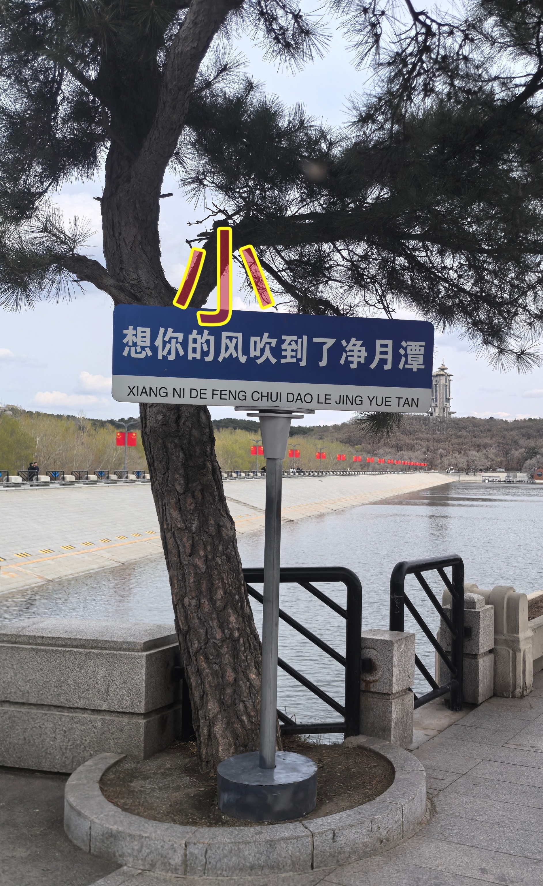 旅游的三千块钱定律五一都去哪里玩啊！春光明媚！才迎却送春不语，未落先飘香已非！长