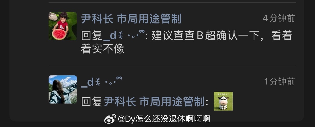 我真没招了真的需要我全网公布自己的doi时间表吗