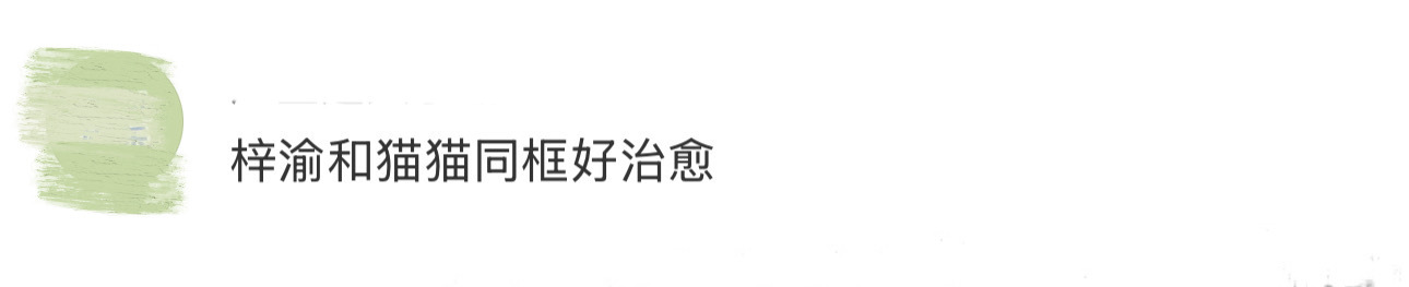 梓渝和猫猫同框好治愈 谁懂这个温暖系look的卷毛小梓渝和小猫同框啊！可爱值真的