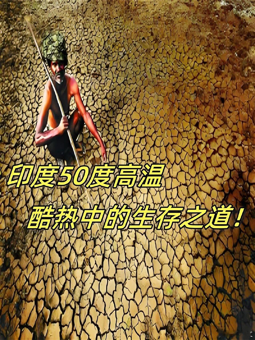 中国留学生因印度高温提前回国 这是什么地狱级高温啊！印度最近飙到近50℃，新德里