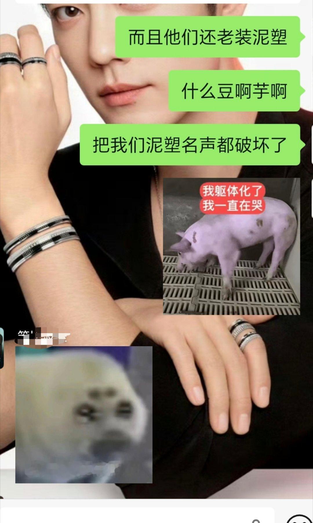 是不是存心想把泥塑搞臭