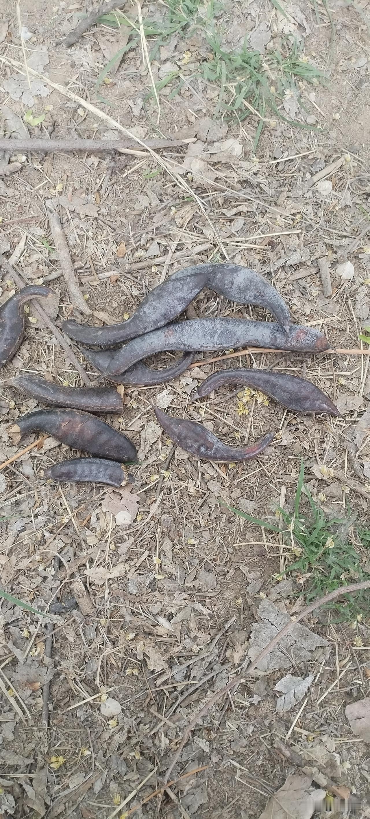 站在的扶弟魔不少。
站在的女孩子，特别是有弟弟的，那种家庭里面特别重男轻女的，从