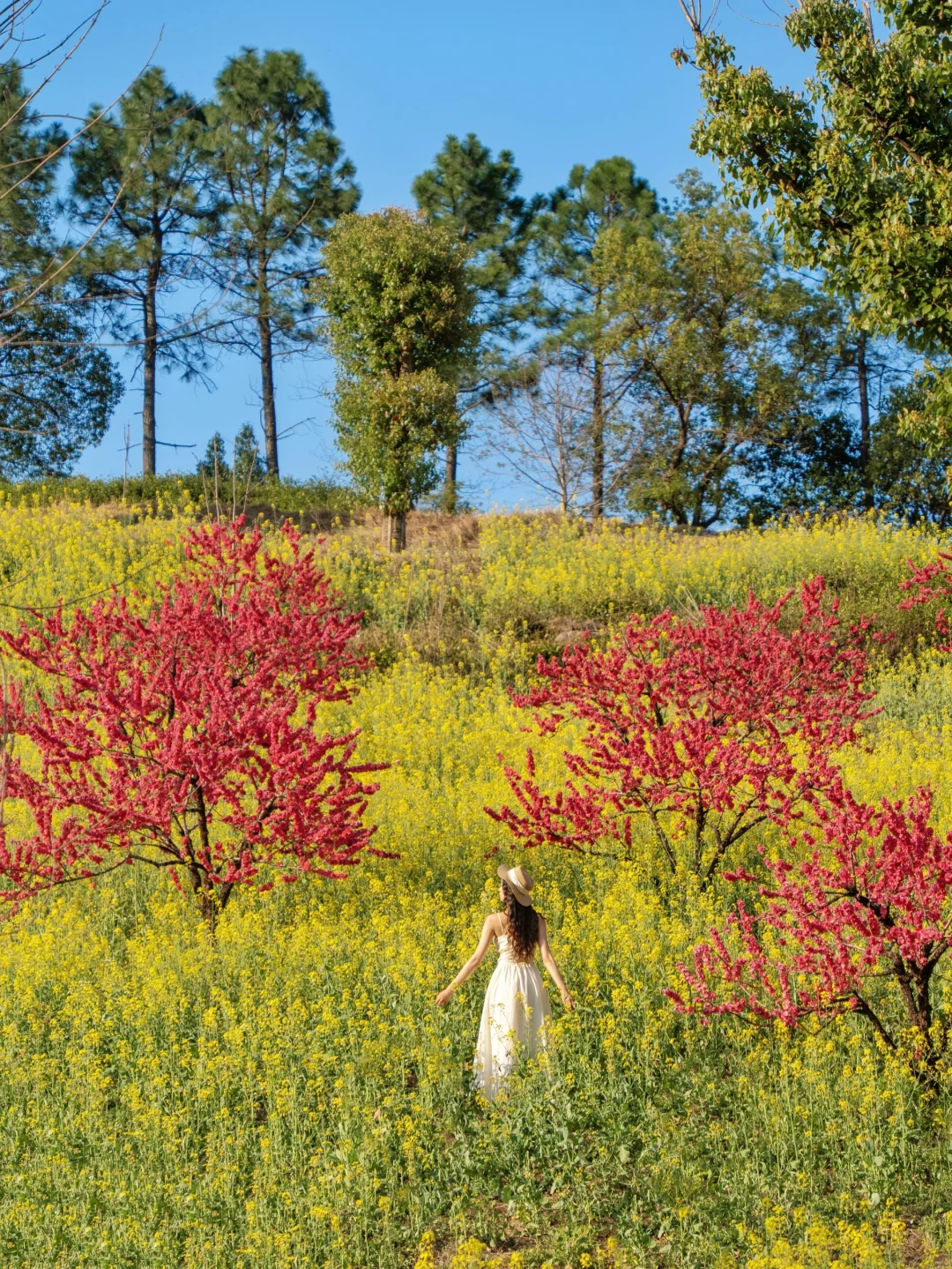 不在婺源！！在浙江！！只有0.1%的人去过🌼