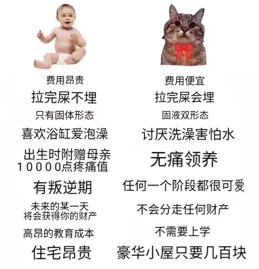 <img src=