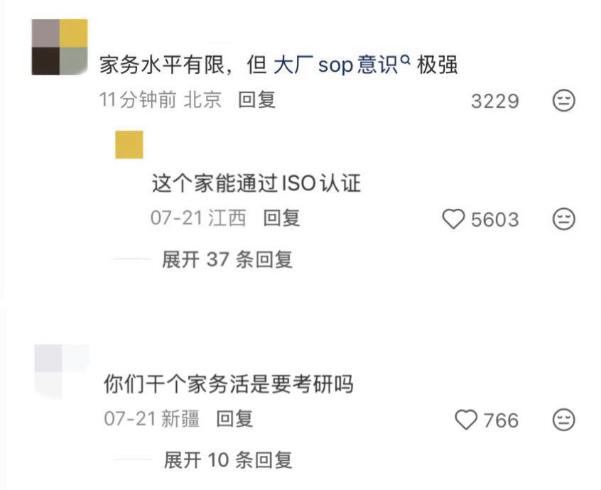 家务水平有限但大厂思维极强有限家务能力+专业管理意识＝本人实操不求精通，制定标准