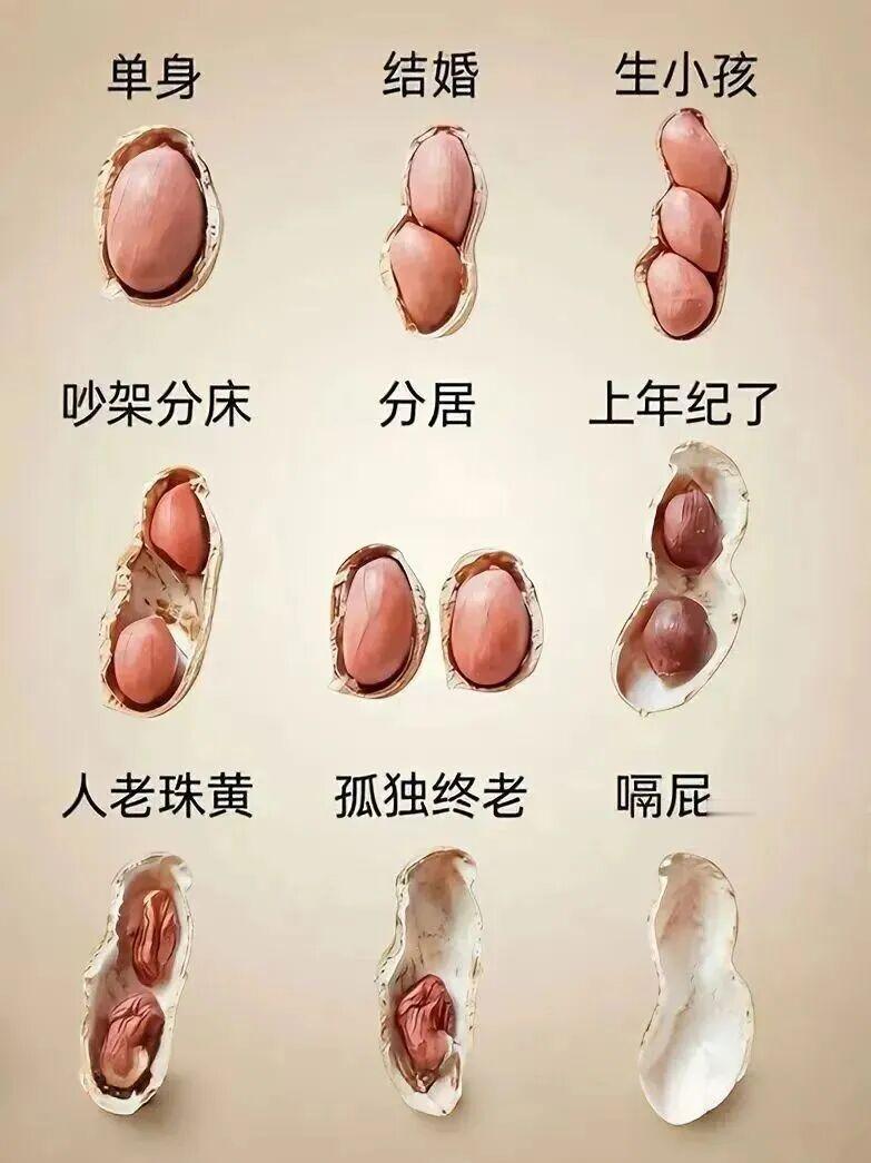 人的一生都在一颗花生里面了