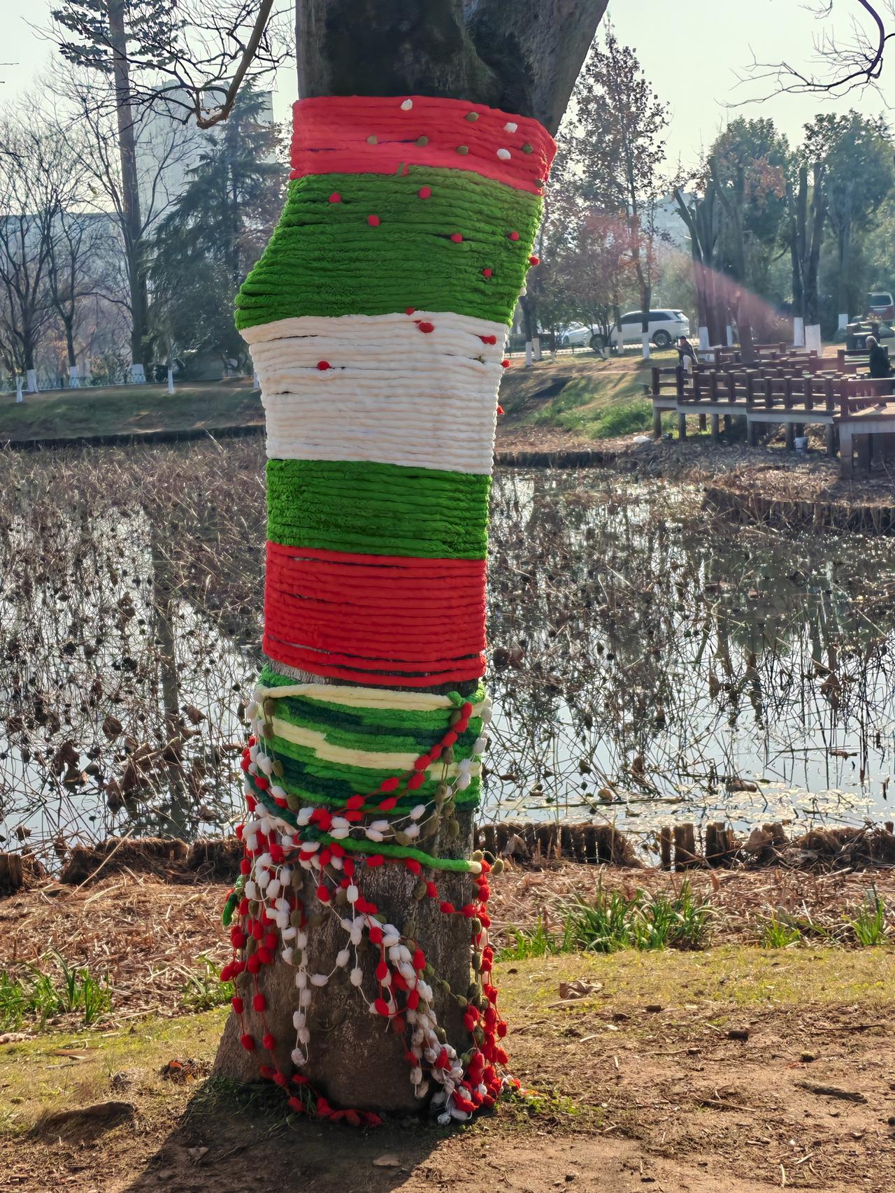 晒图笔记大赛昨天出门散步，看到公园池塘边的树也装饰了圣诞节气氛，两个小姑娘在穿着