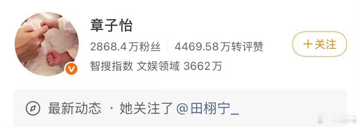 章子怡取关工作室换成田栩宁章子怡田栩宁 合作 田栩宁回关章子怡，觉得雷子适合跟成