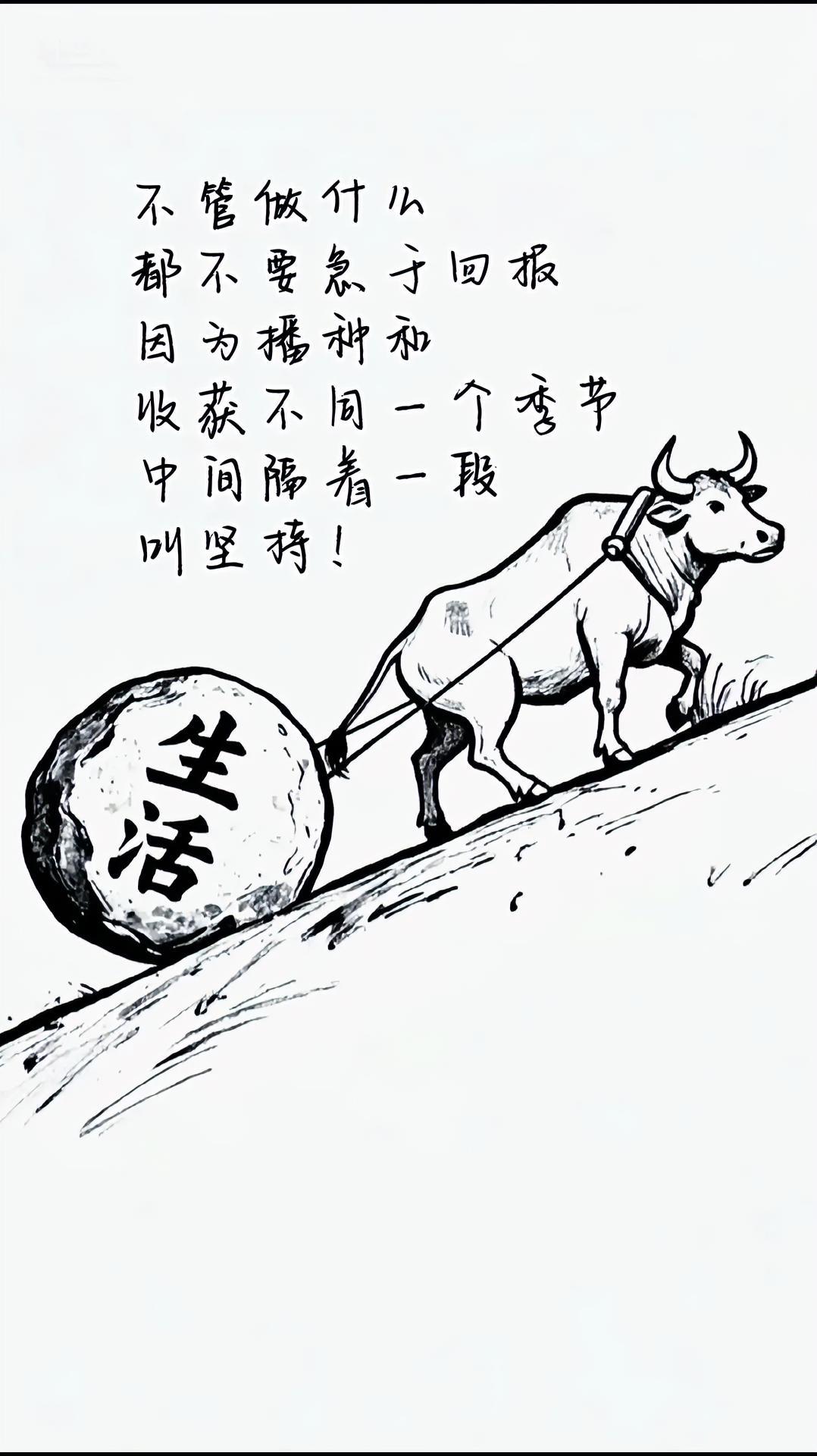 人这一生，总会遇到大大小小的坎，只是有的人在关键时刻咬紧牙关、迎难而上，而有的人