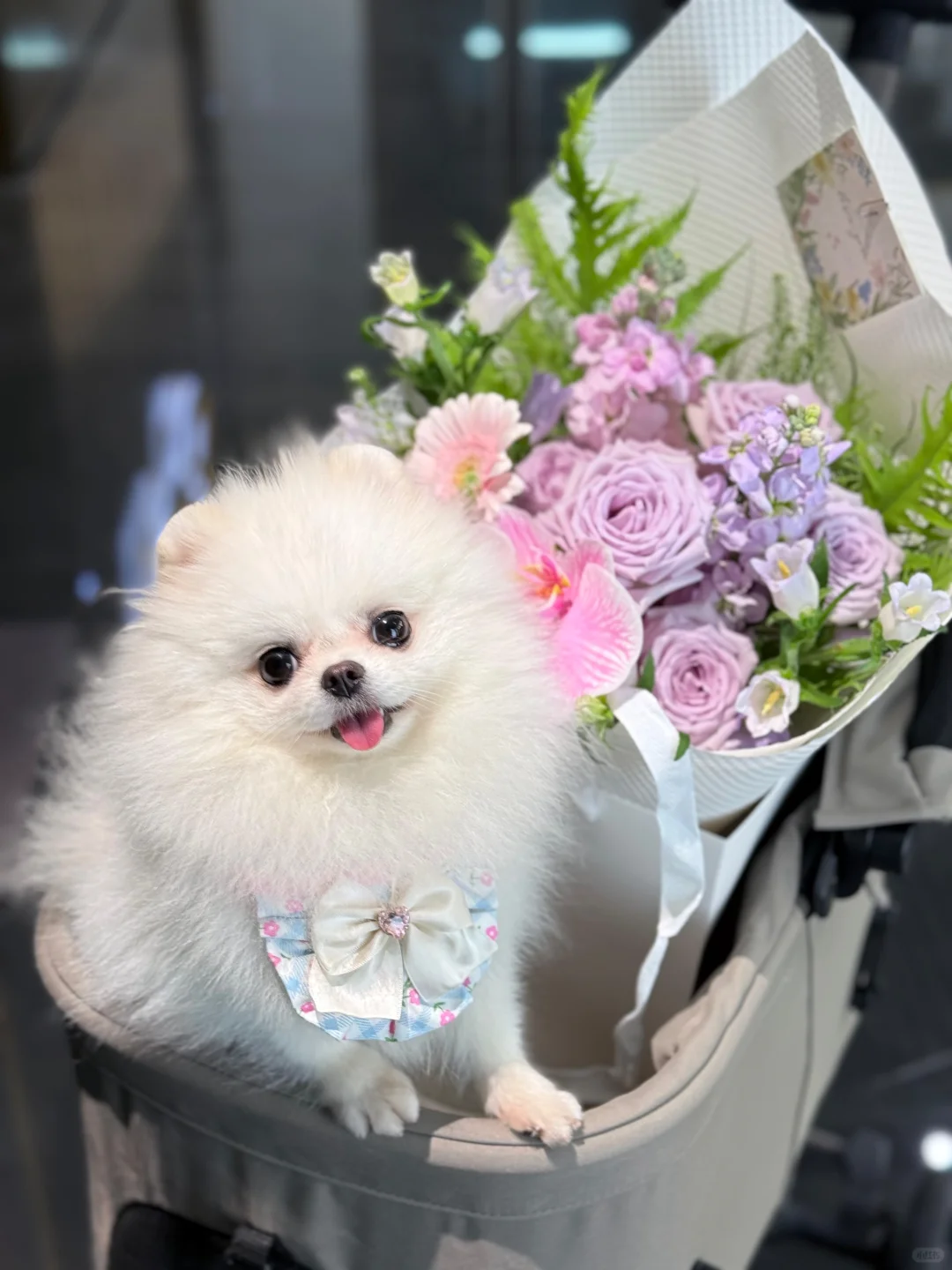 ✦•。·.💐*•✩·.•