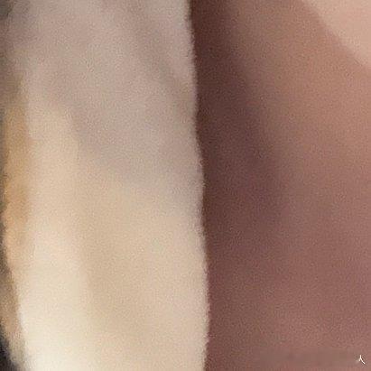 王奕 王奕我们永远在一起浩瀚宇宙王奕“想将玫瑰献给温柔的月 玫瑰与她共赏细碎的星