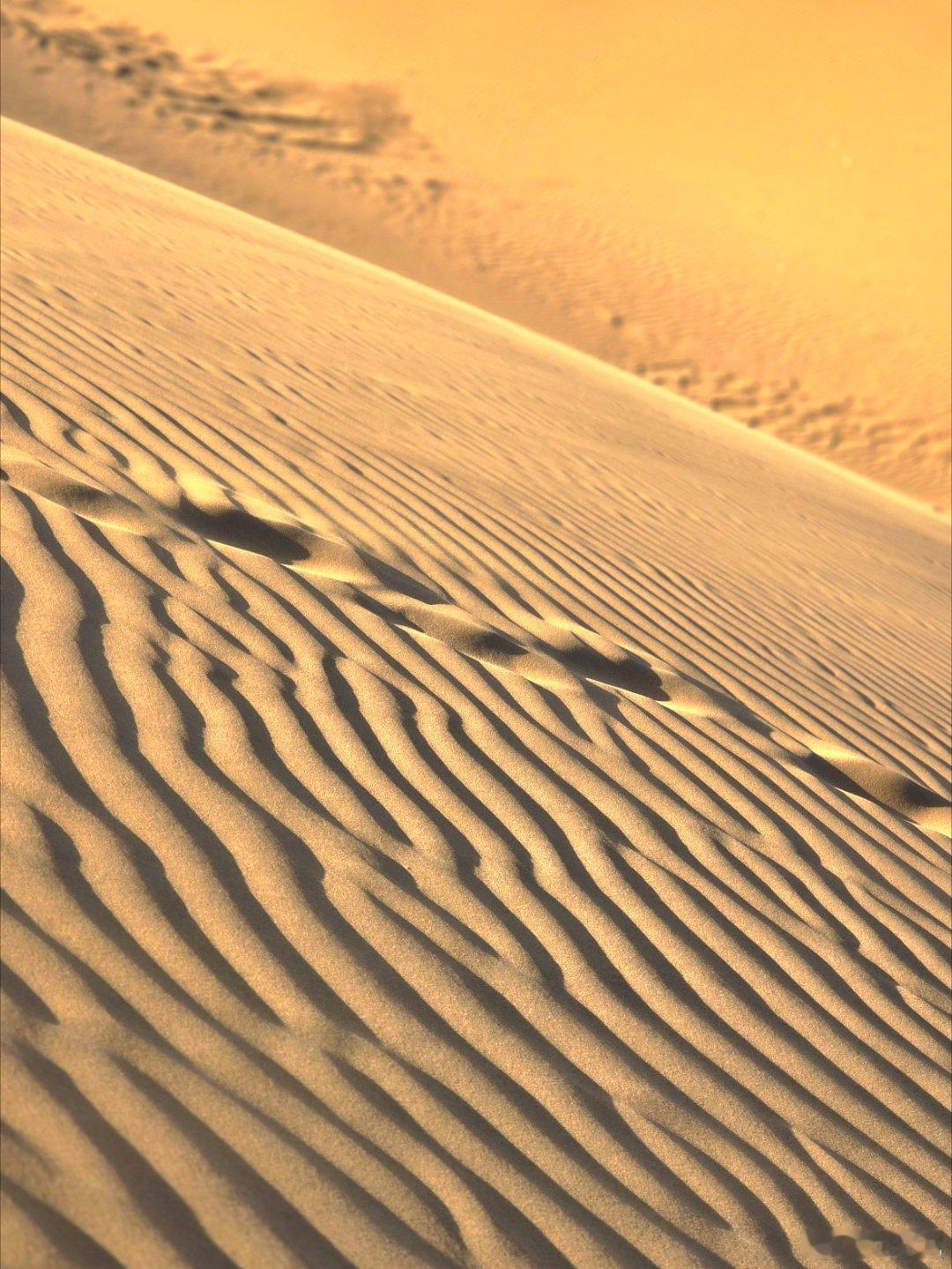 鄂尔多斯沙浪逐波 