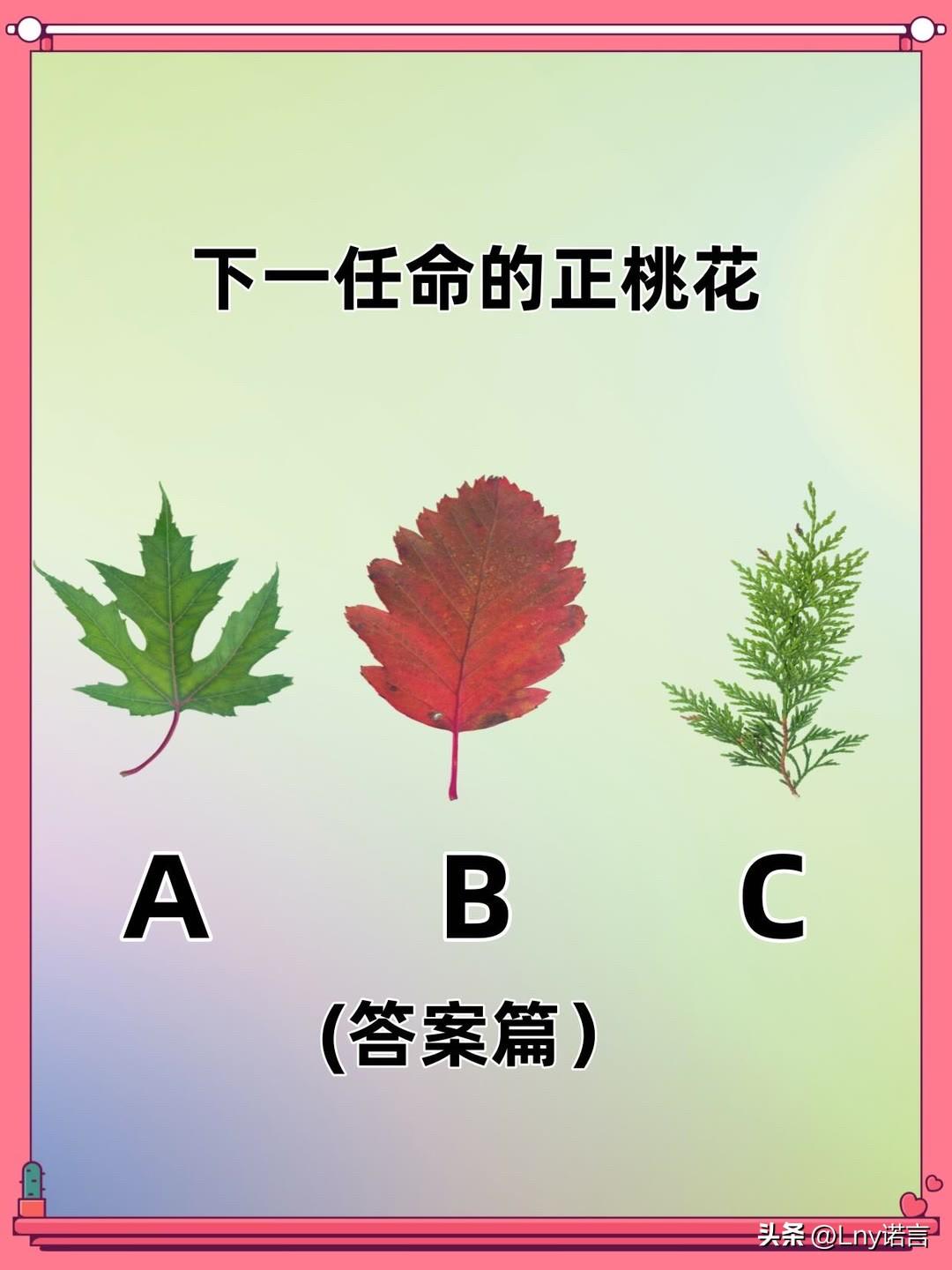 移动天工下一任命的正桃花