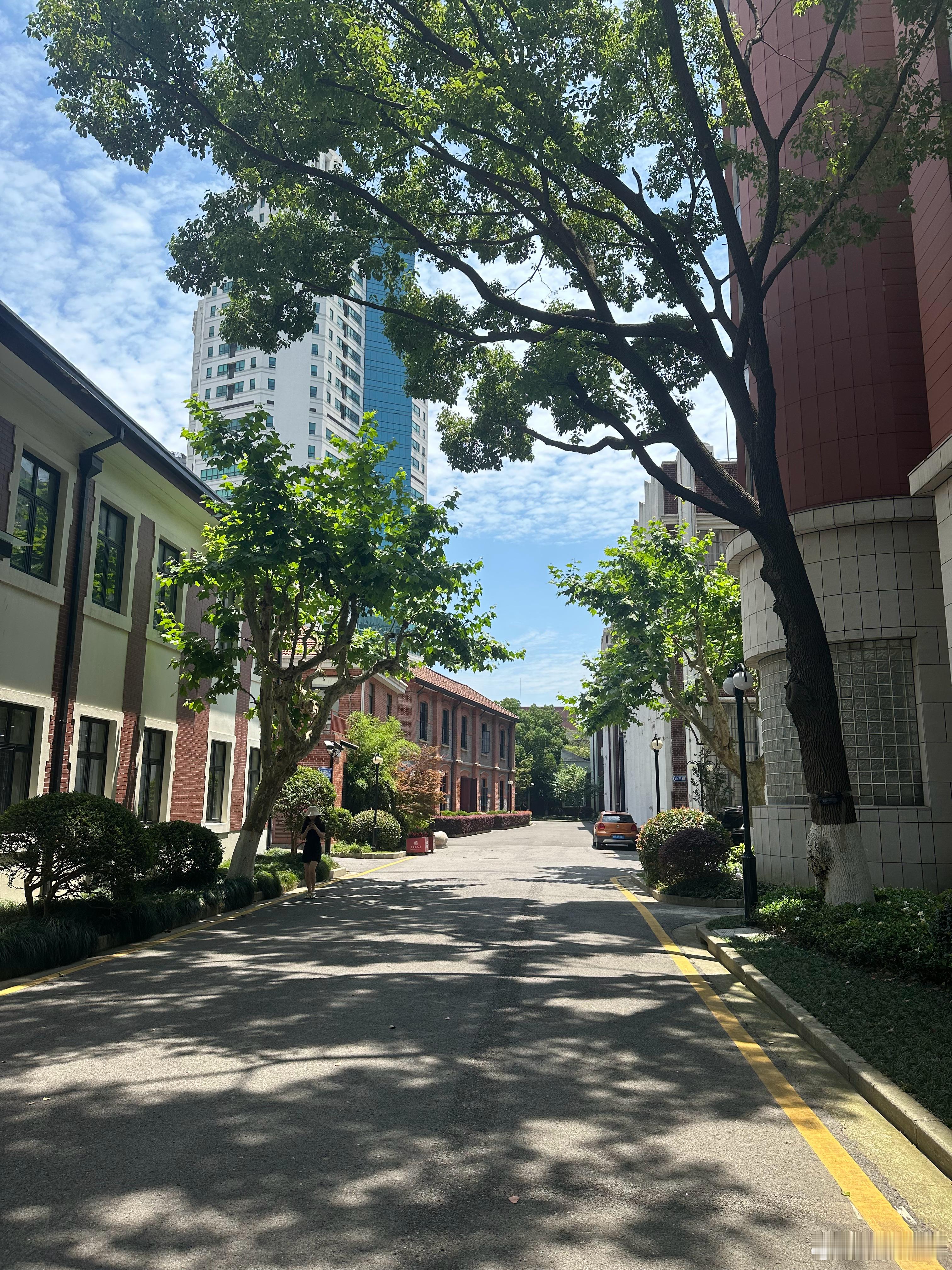 大学里面没有了退休老头老太是真安静，真美。可惜老头老太闹腾得太不像了，学校借着前