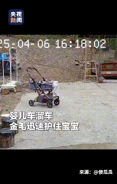 家人们，今天刷到个超暖心的事儿！
     广东一爸爸去刷奶瓶，结果忘了给婴儿车